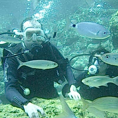 Ölüdeniz Tüplü Dalış Turu